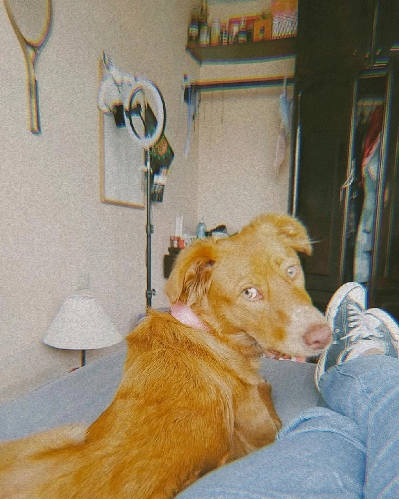 GIF subido por Paola