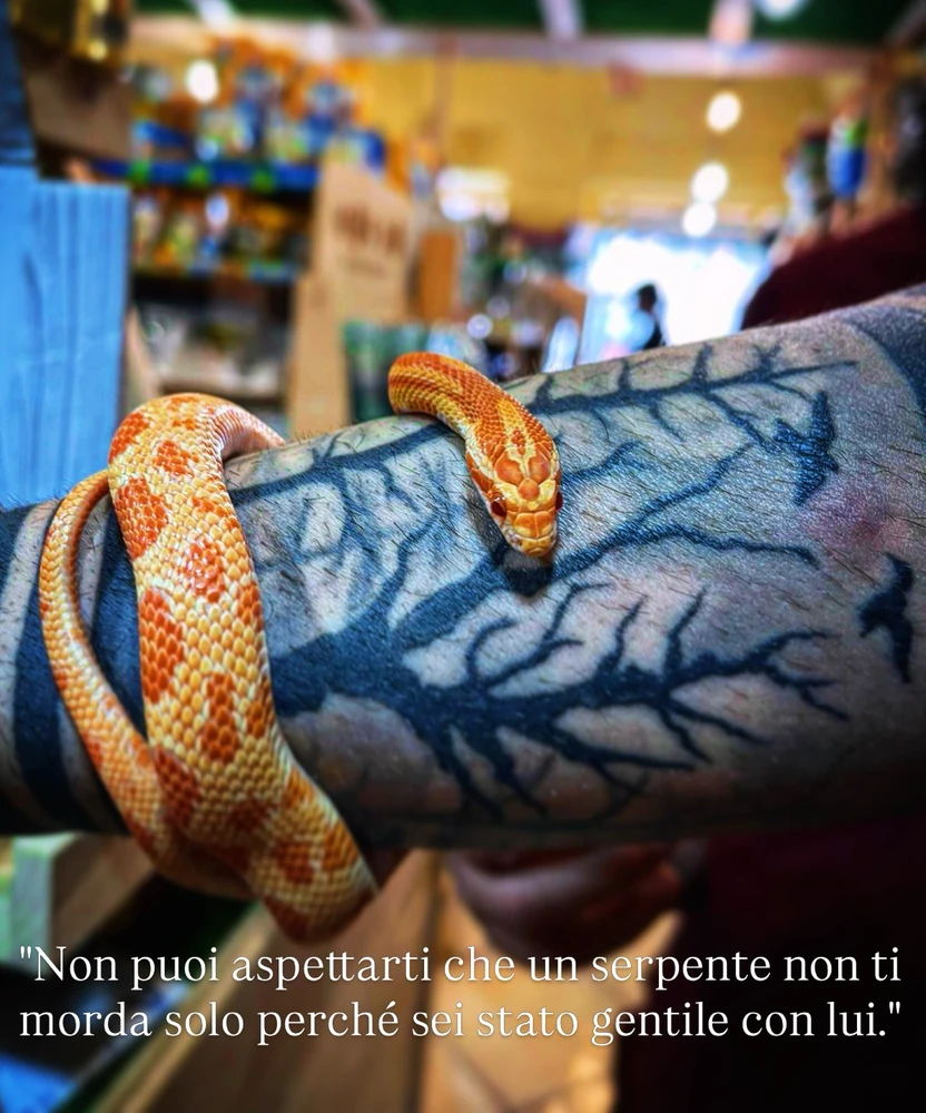 GIF caricata da Pasquale