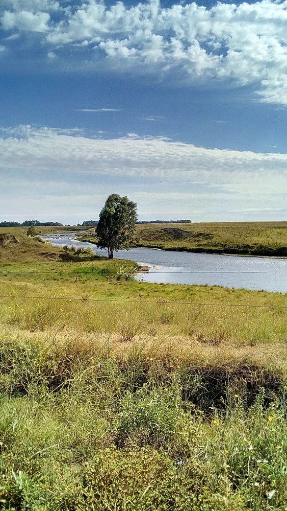 GIF subido por Thomas