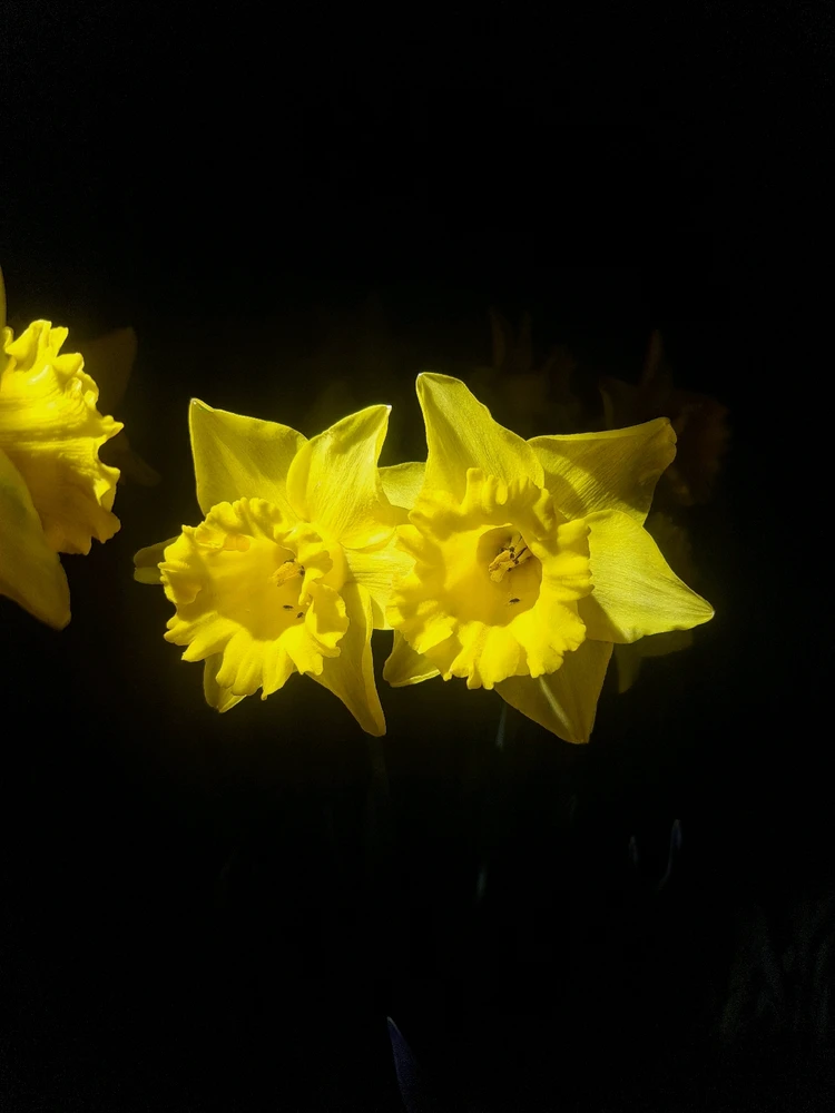 GIF uploaded by JD