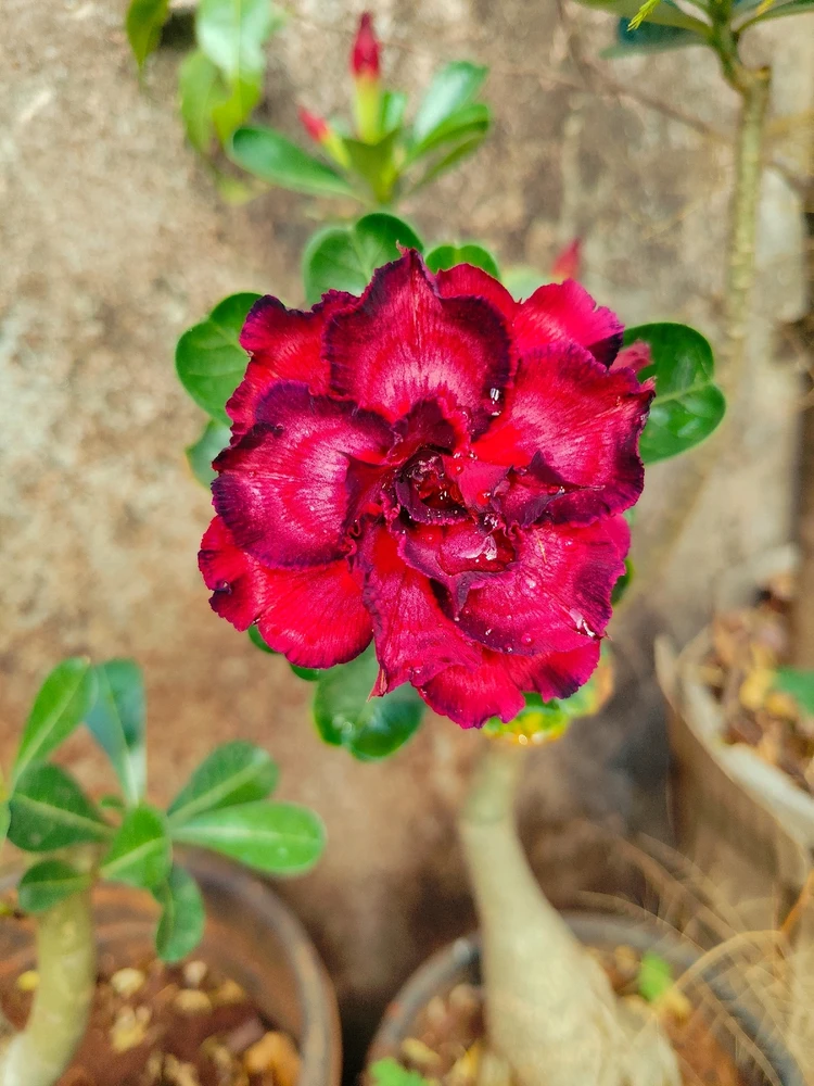 GIF uploaded by sebastian