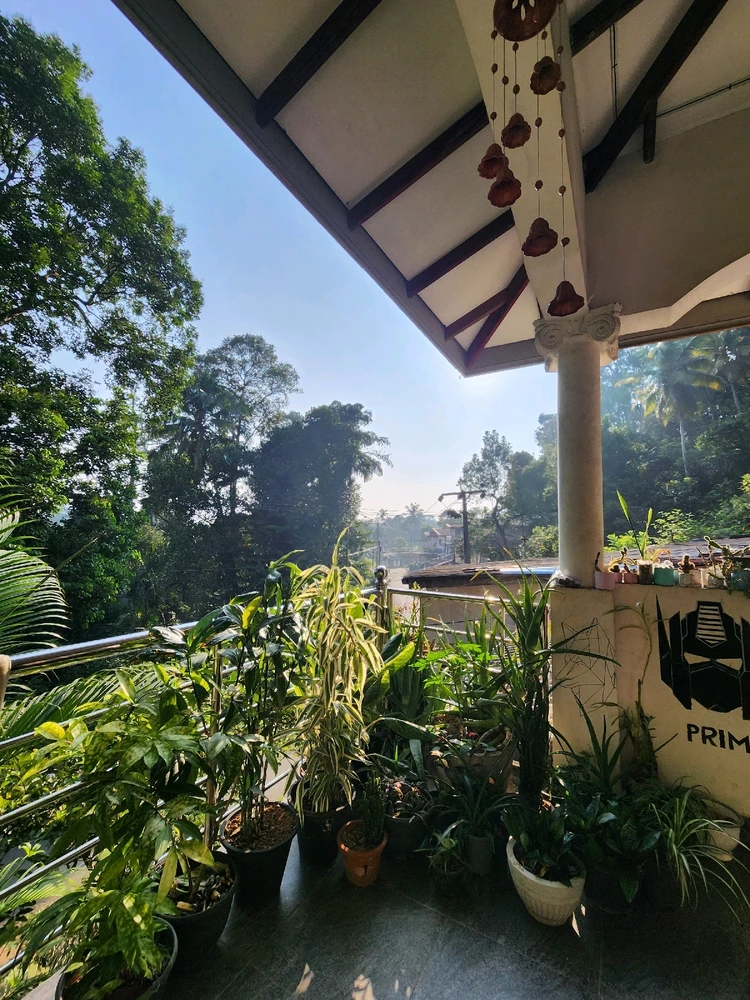 GIF uploaded by Shen