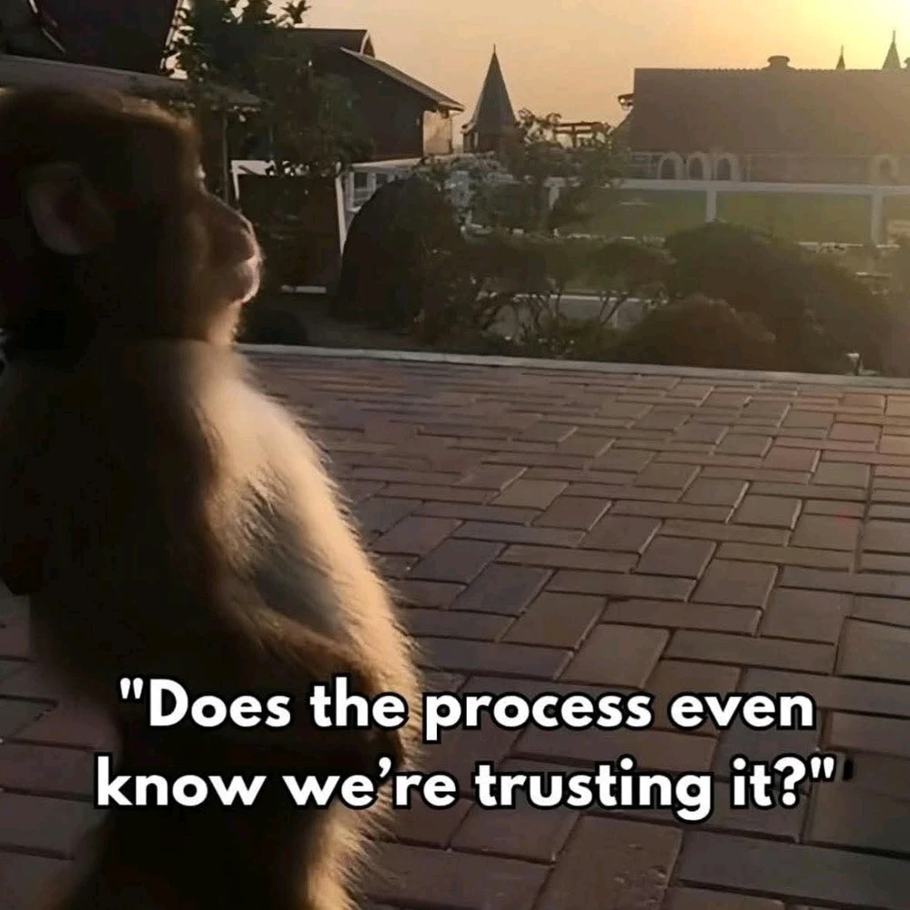 GIF uploaded by Chrif