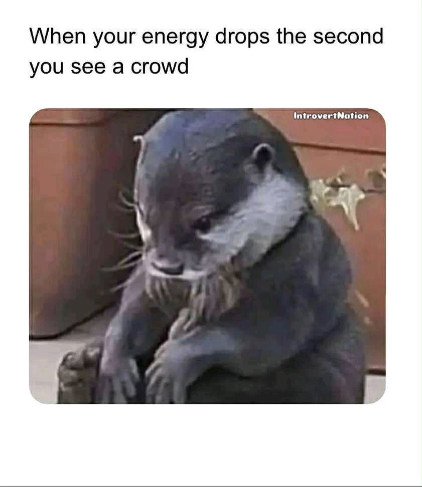 GIF uploaded by Chrif