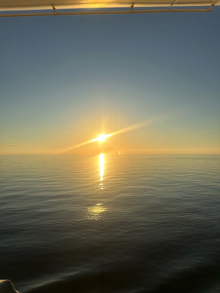 GIF uploaded by Michelle