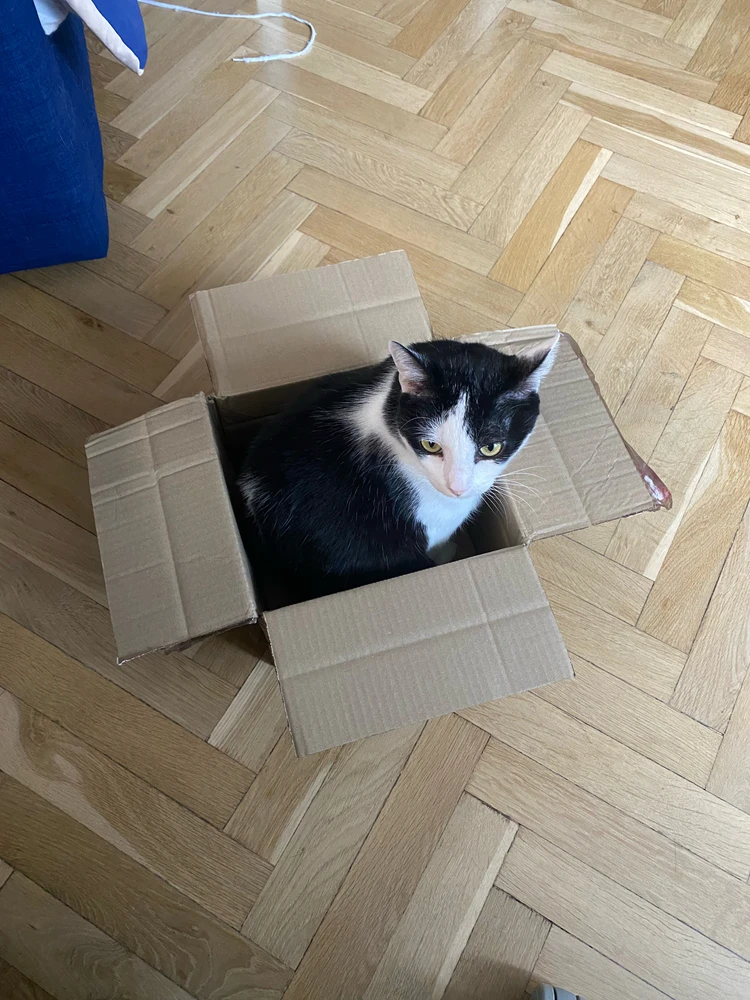 GIF uploaded by Celina