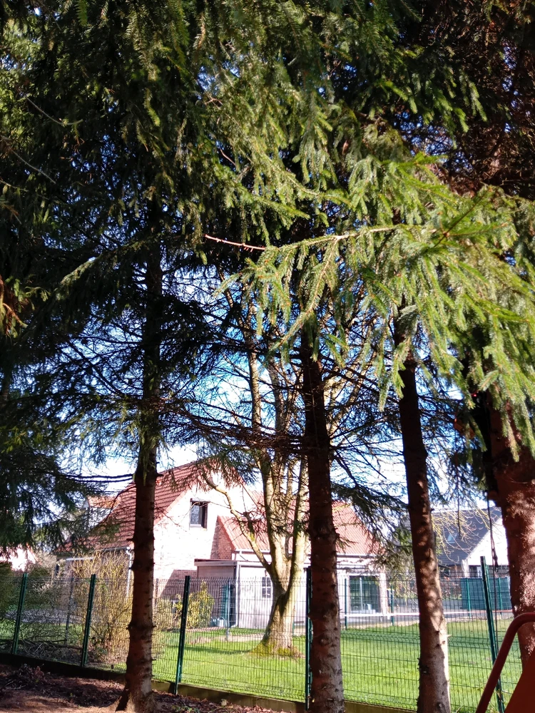 GIF ajouté par Marie