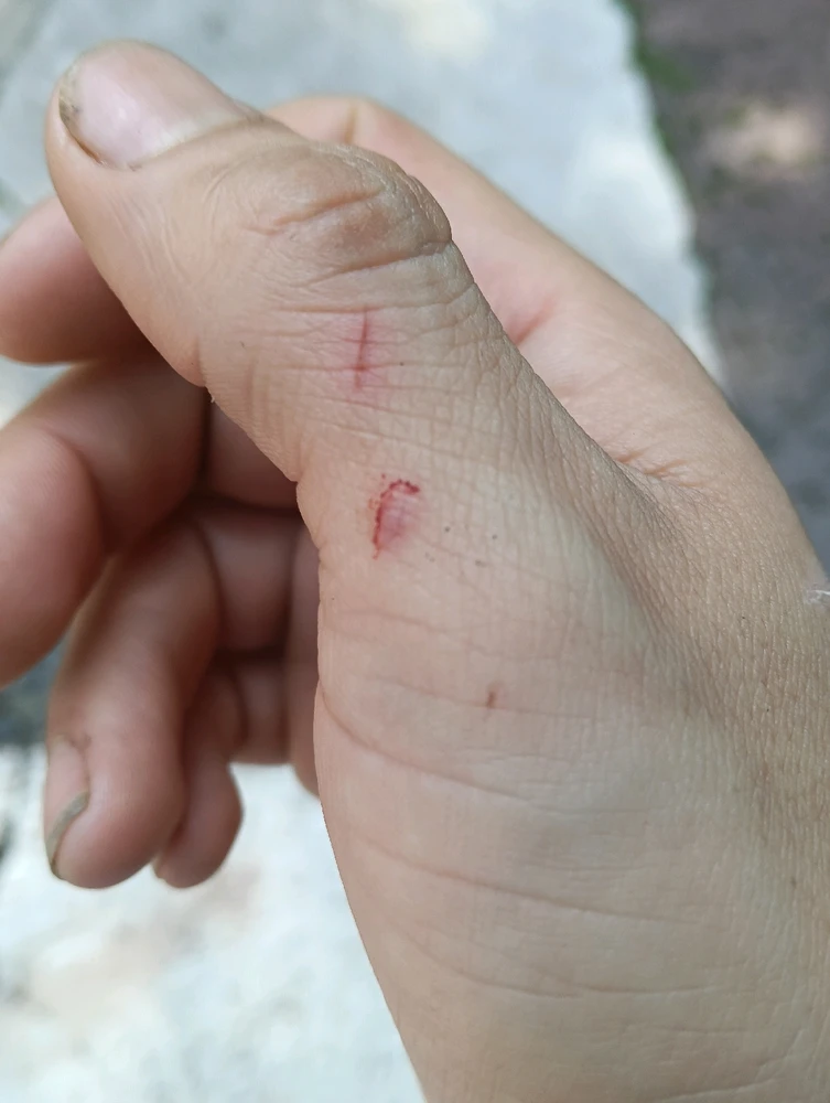 GIF subido por Uriel