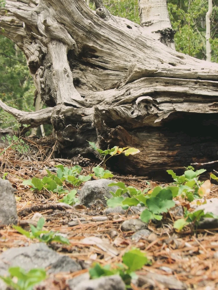 Image uploaded by Michelle