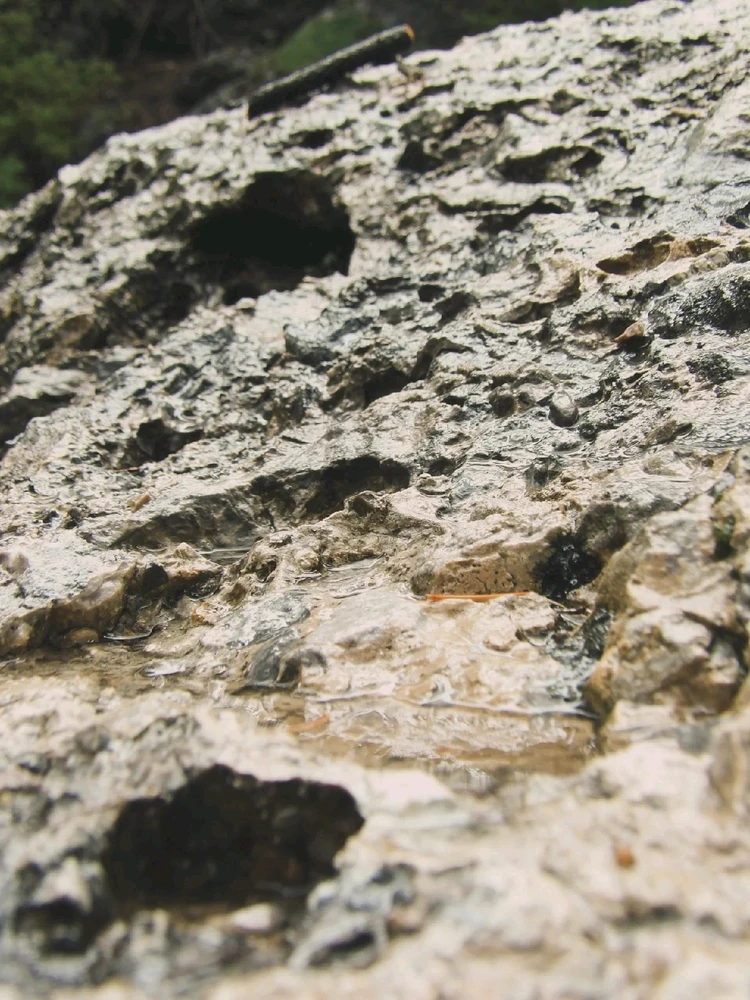 Image uploaded by Michelle