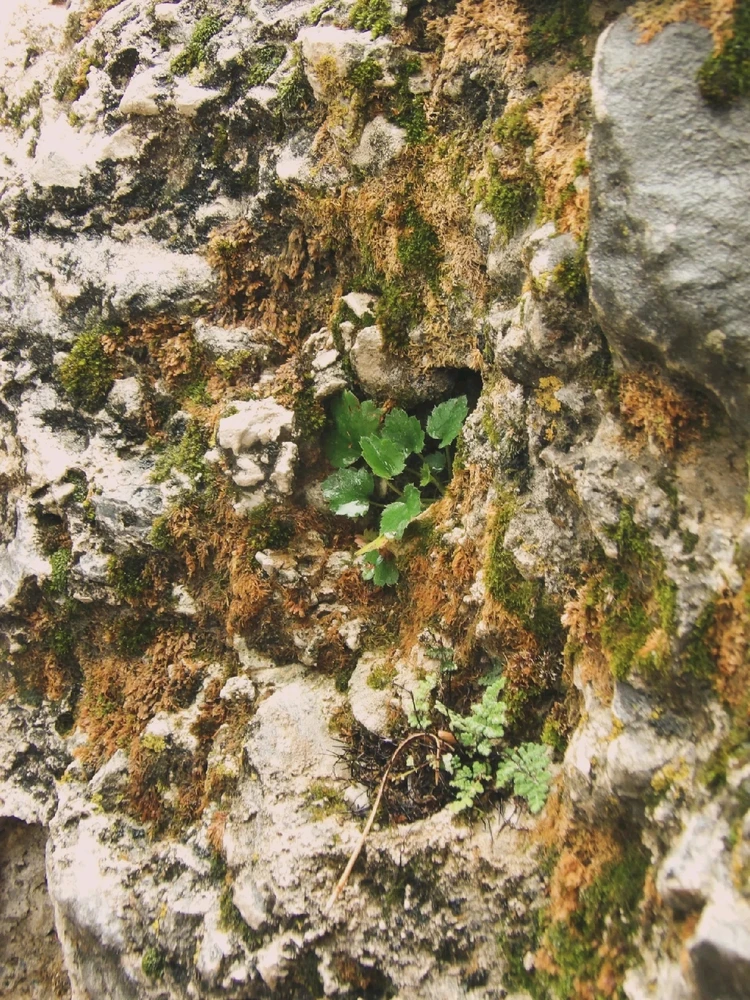 Image uploaded by Michelle