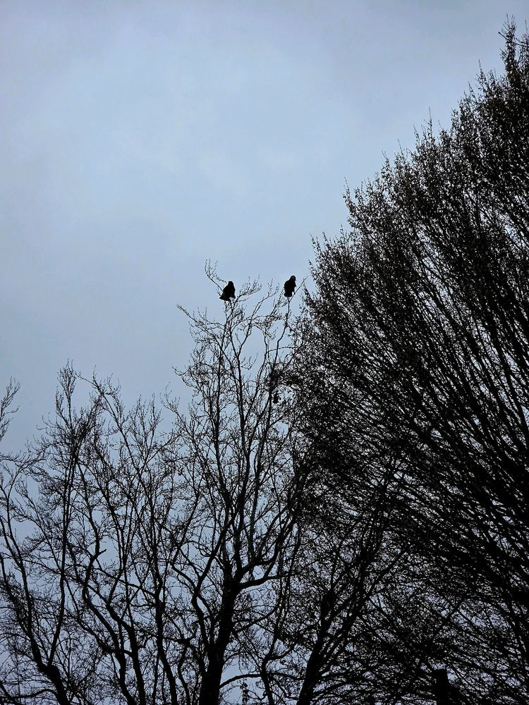 GIF uploaded by A༗🂡⏳