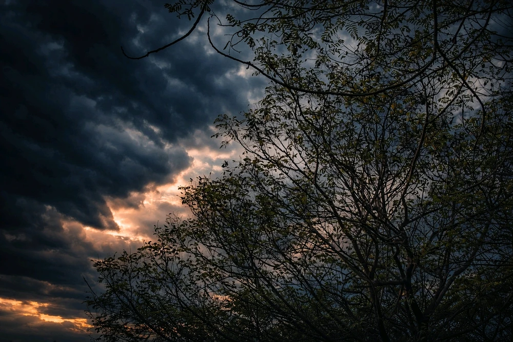 GIF uploaded by Pritam