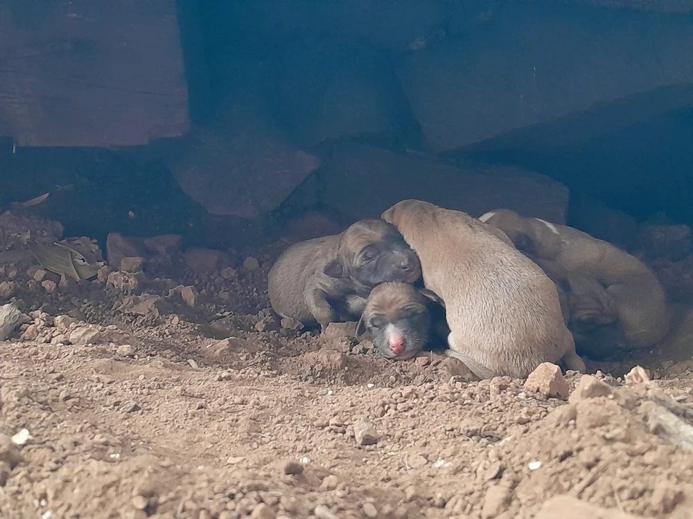 GIF uploaded by Kaustubh