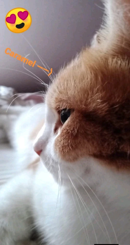 GIF ajouté par Ꭻລԁ𝙚