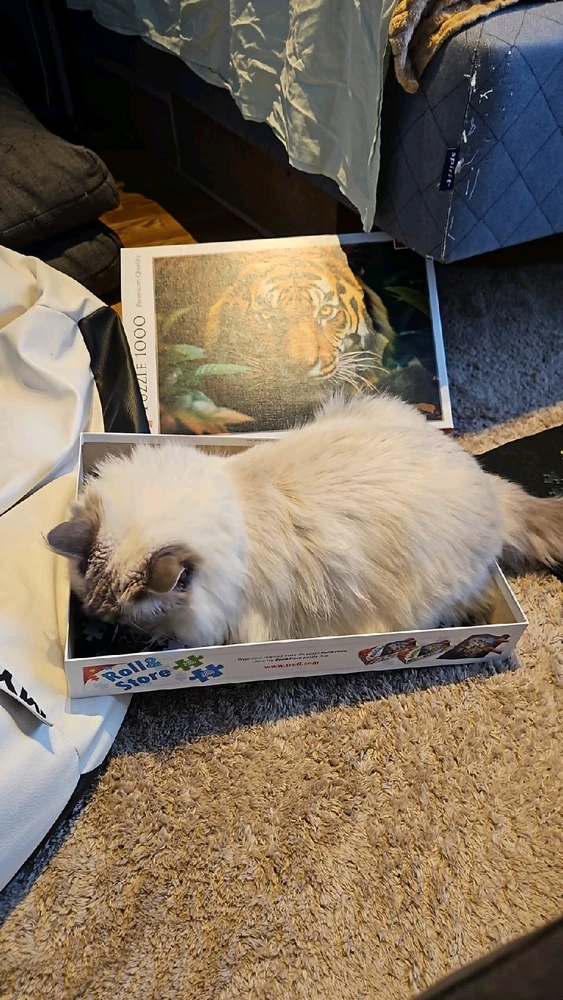 GIF dodany przez Oenom