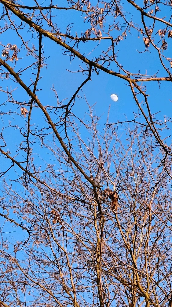 Zdjęcie dodane przez Alicja