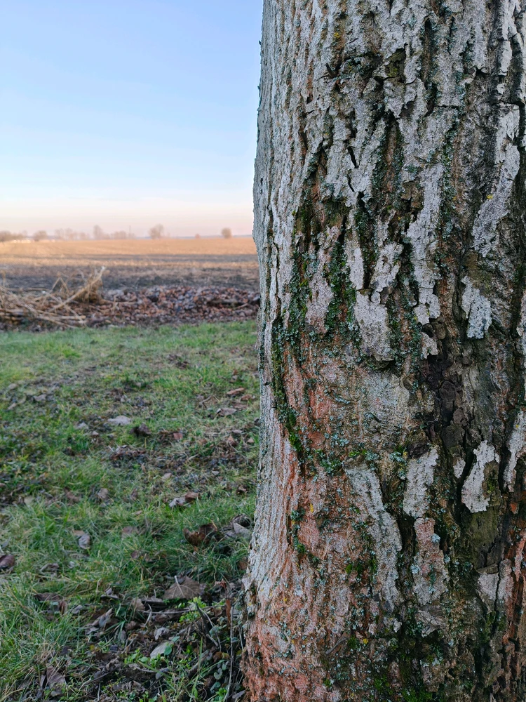 Zdjęcie dodane przez Alicja