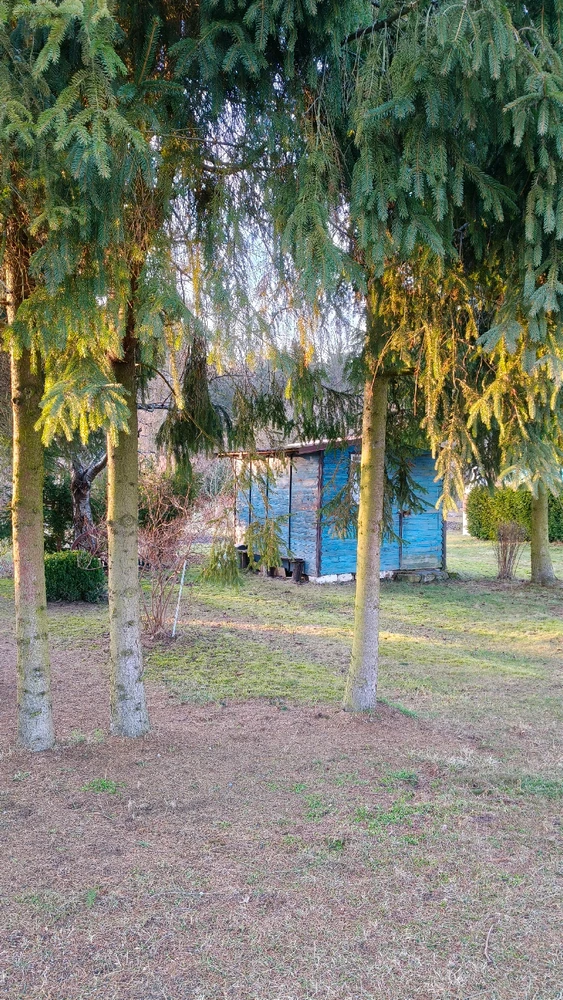 Zdjęcie dodane przez Alicja