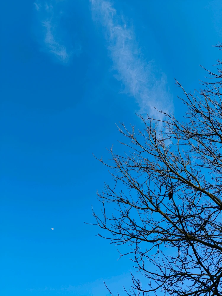 Zdjęcie dodane przez Alicja