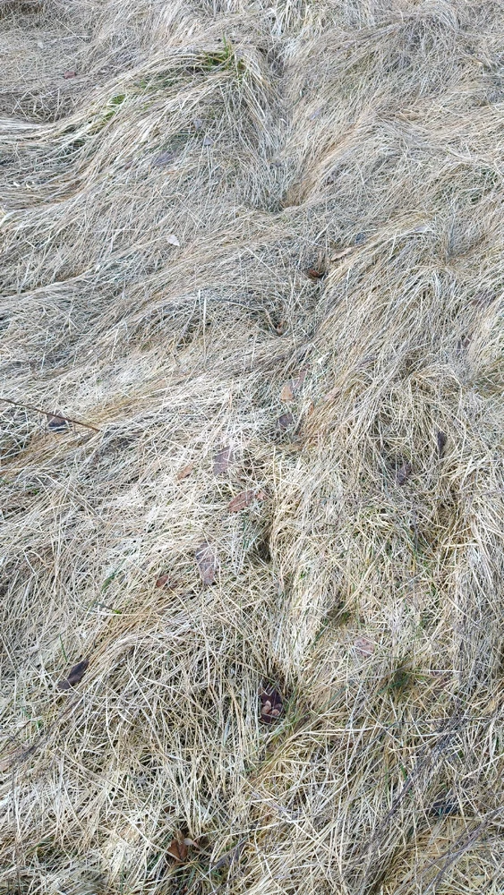 Zdjęcie dodane przez Alicja