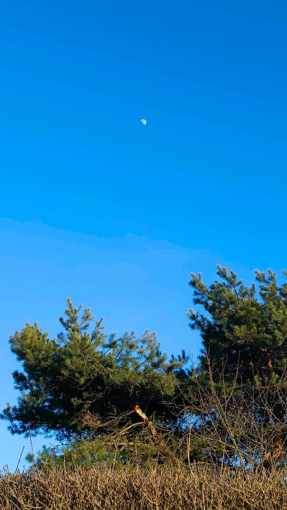 Zdjęcie dodane przez Alicja