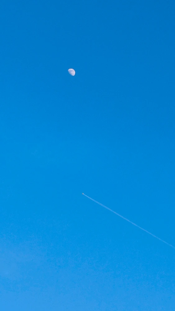 Zdjęcie dodane przez Alicja