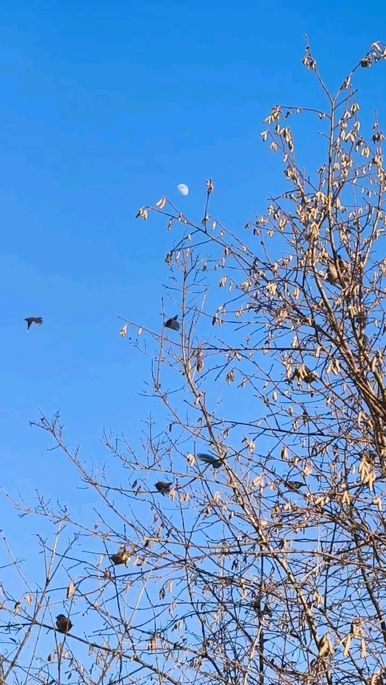 Zdjęcie dodane przez Alicja