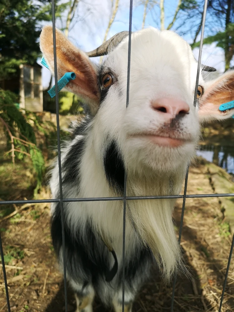 GIF uploaded by Daniel