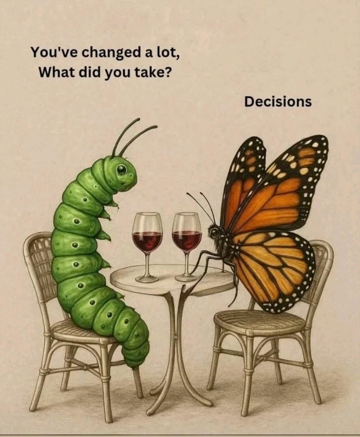 GIF uploaded by Unknown User