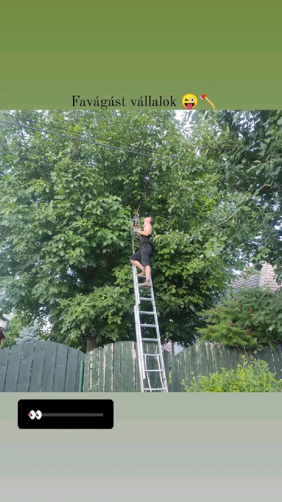 Gambar diunggah dening Szabolcs