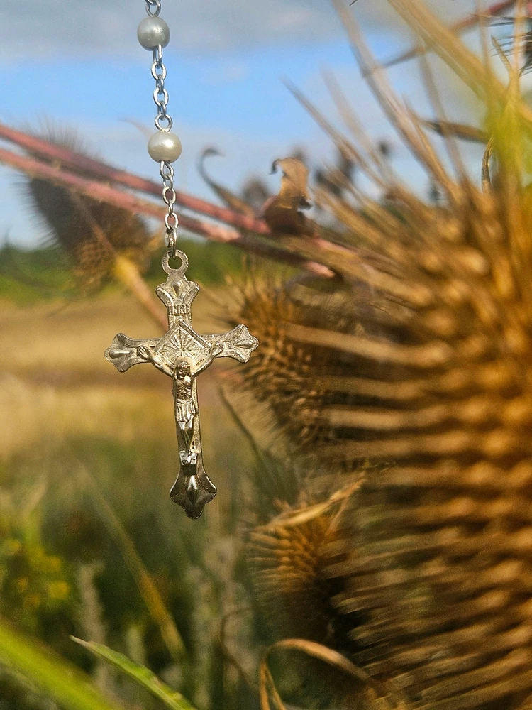 Image uploaded by Michael