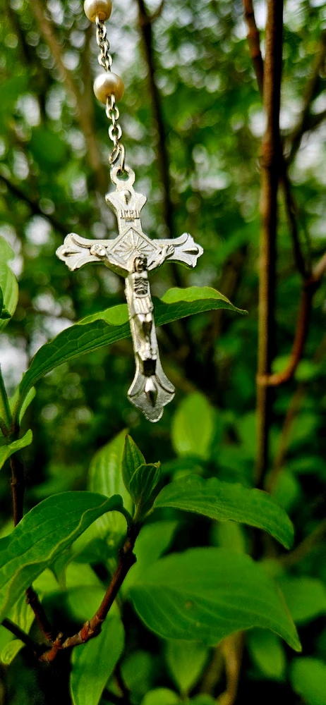 Image uploaded by Michael