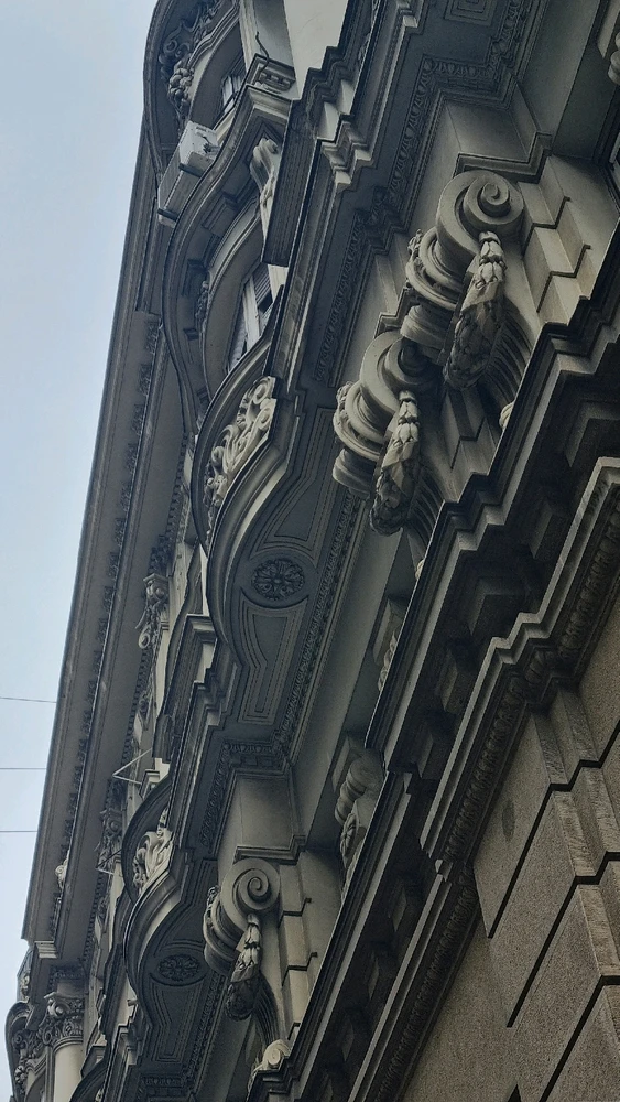 Image uploaded by Mila