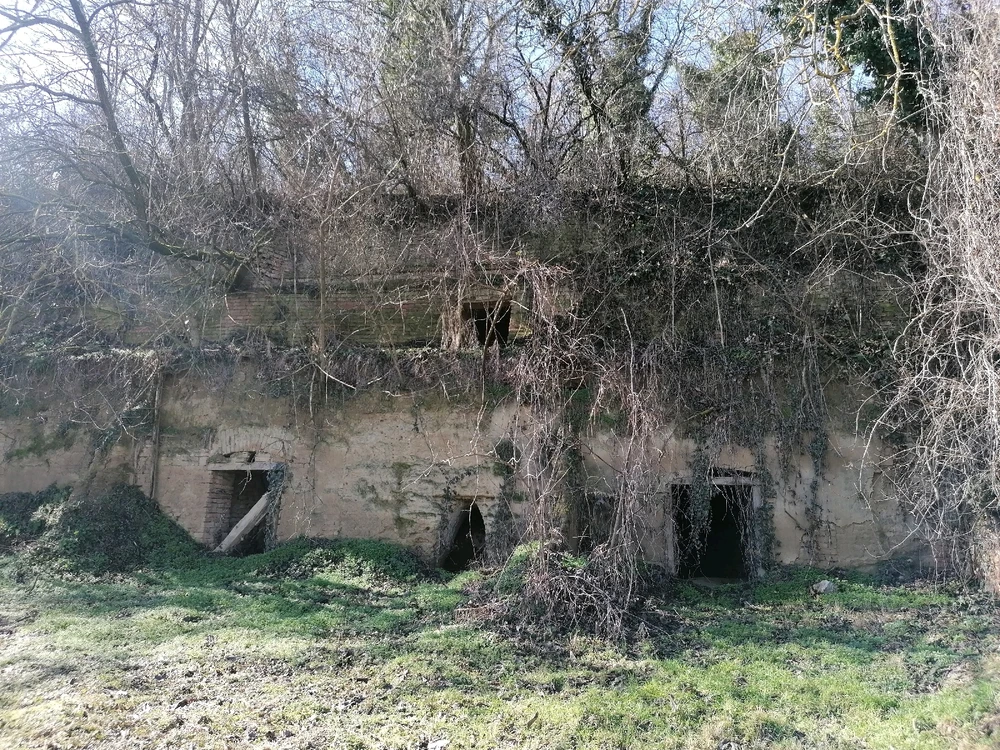 Gambar diunggah dening Szabolcs