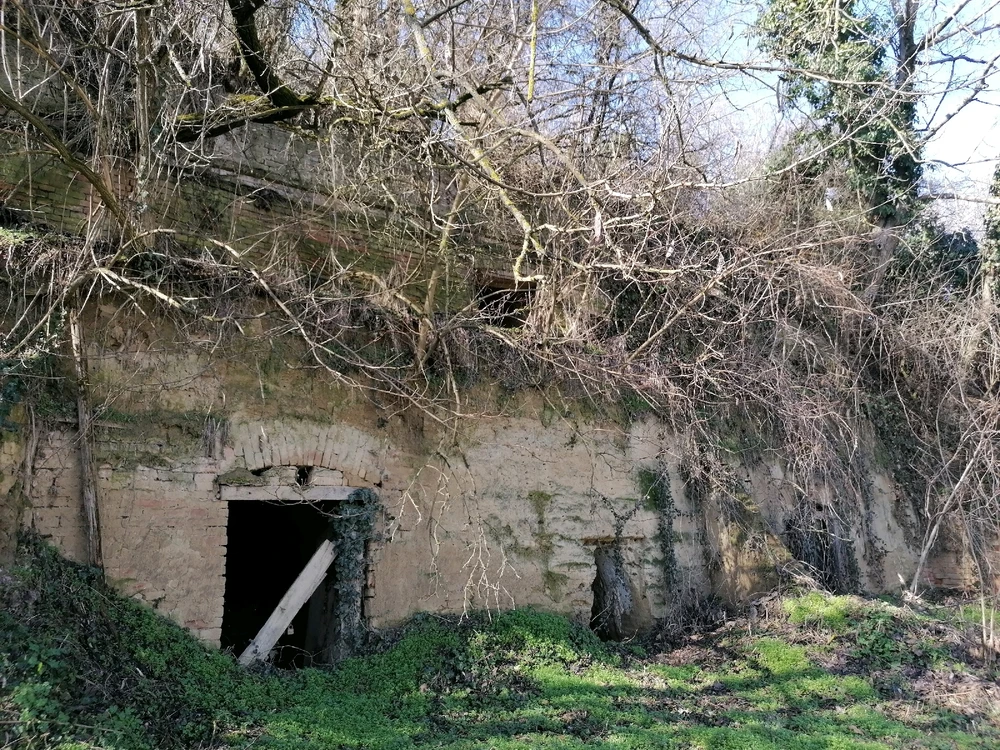 Gambar diunggah dening Szabolcs