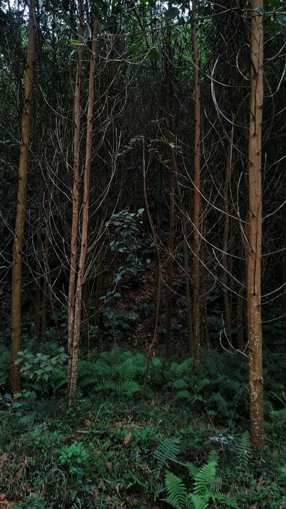 GIF được Boong tải lên