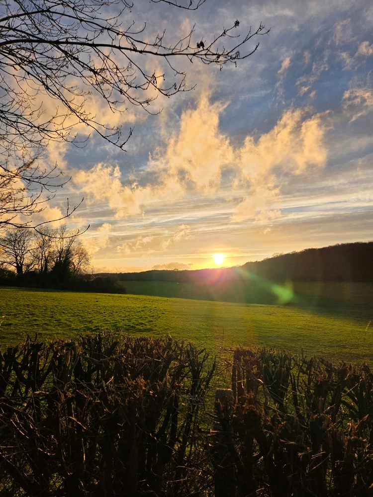 GIF uploaded by Stephen