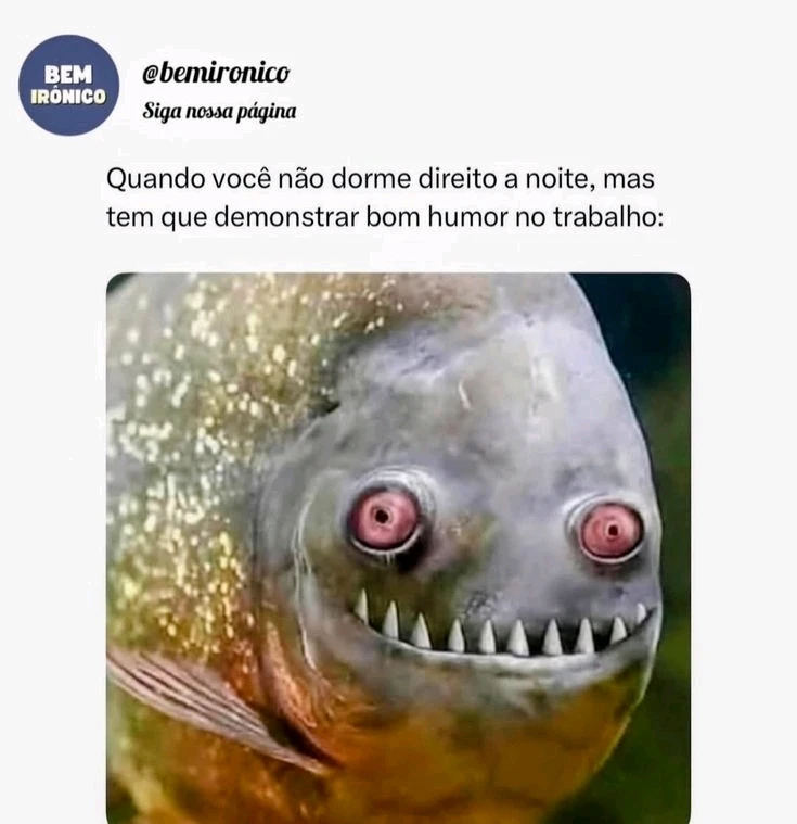 GIF enviado por Brenda🌻