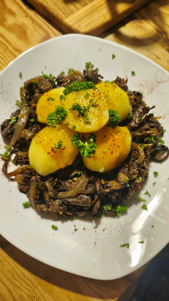 GIF hochgeladen von Felix