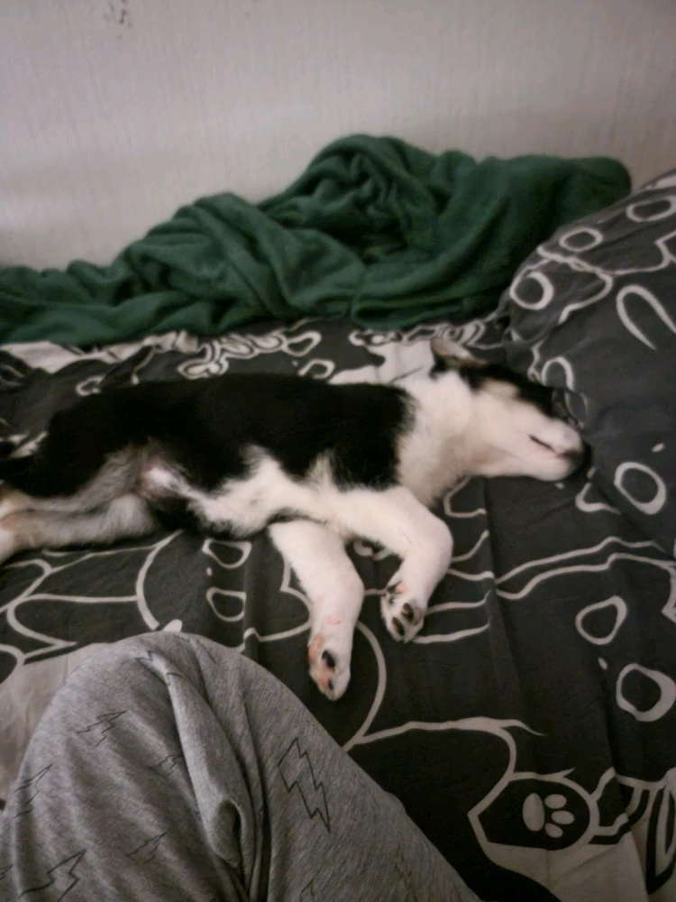 GIF uploaded by seraph