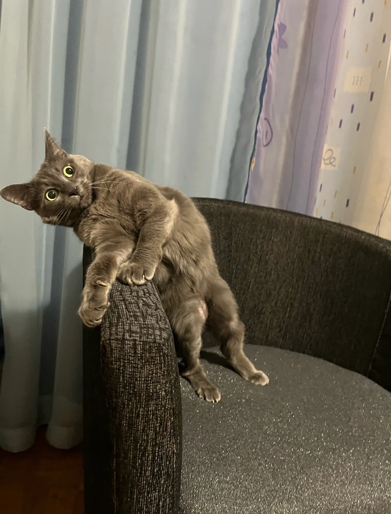 GIF uploaded by Mariana ☭