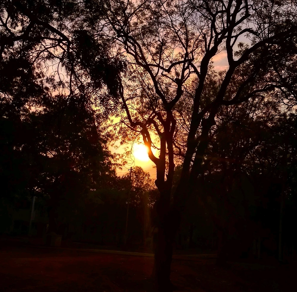 GIF diunggah dening Joe