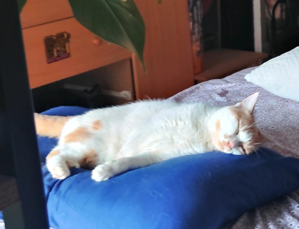 GIF uploaded by Wendy