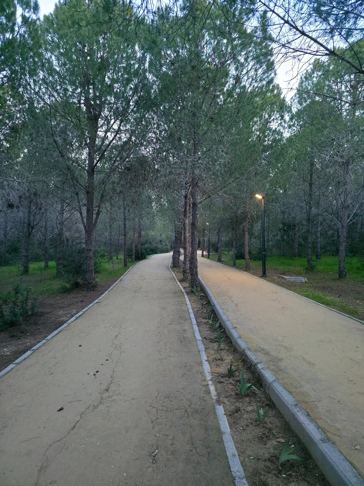 Mehmet tarafından yüklenen GIF