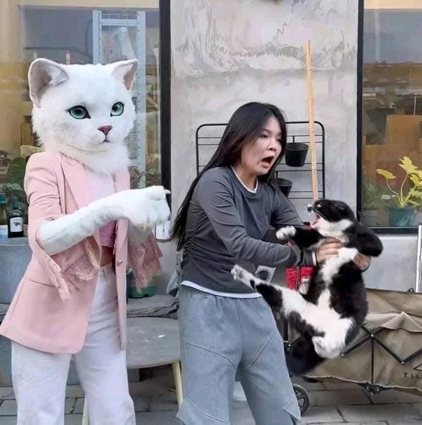 Image uploaded by Rosalyn