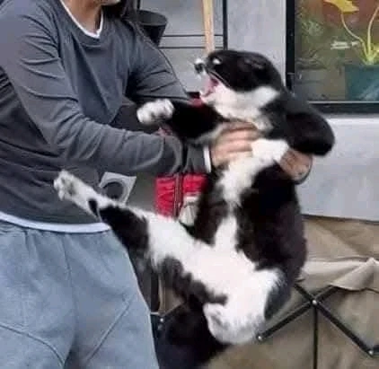 Image uploaded by Rosalyn