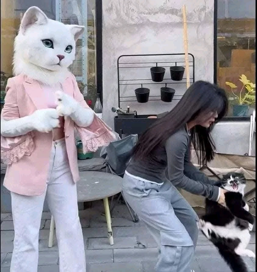 Image uploaded by Rosalyn