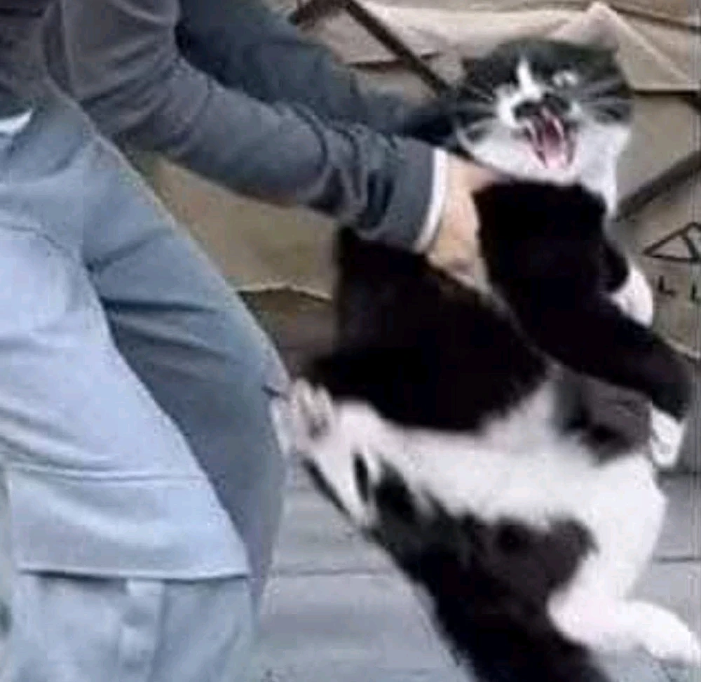 Image uploaded by Rosalyn