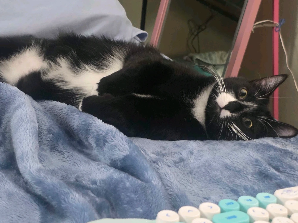 GIF uploaded by Mark & Ana